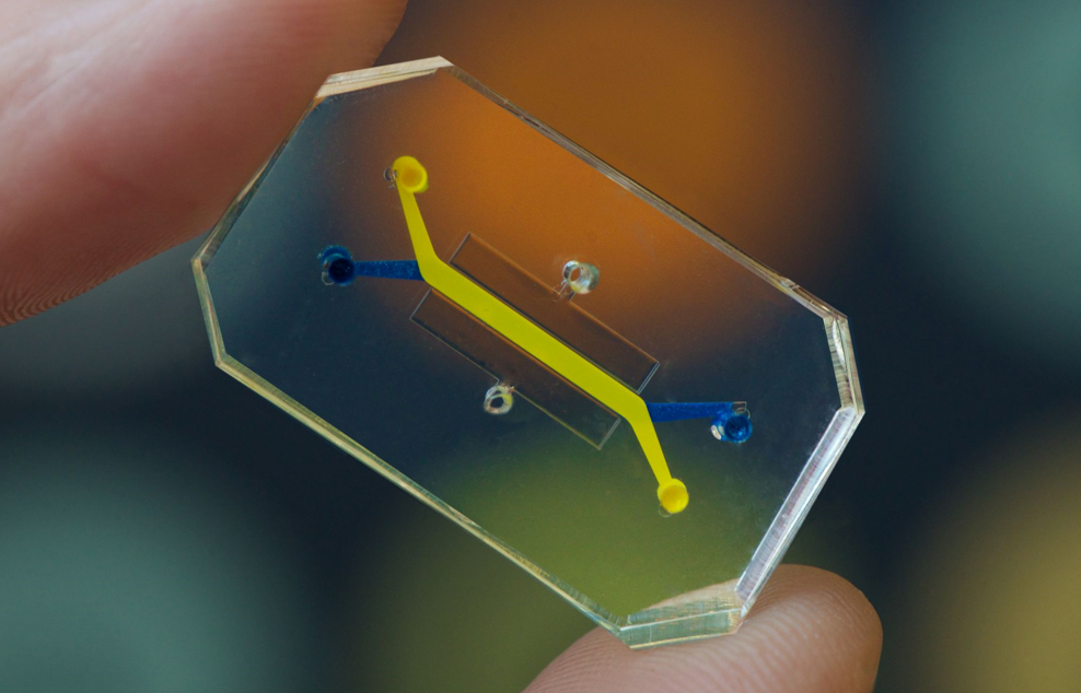 در اختیار داشتن آینده ی توسعه دارو با تکنولوژی «بیماران روی یک تراشه» مبتنی بر هوش مصنوعی 